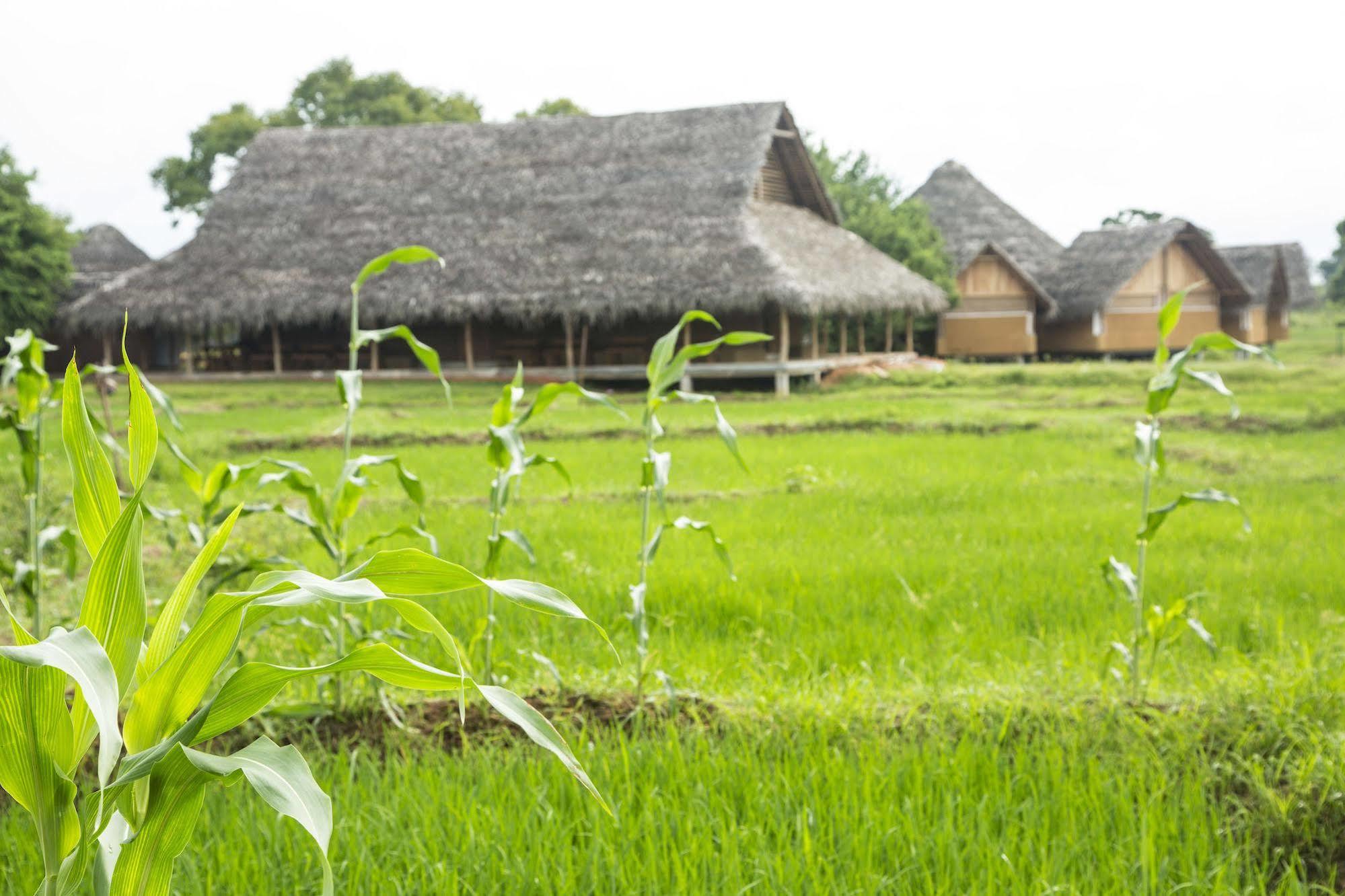 Aliya Resort&Spa Sigiriya Dış mekan fotoğraf