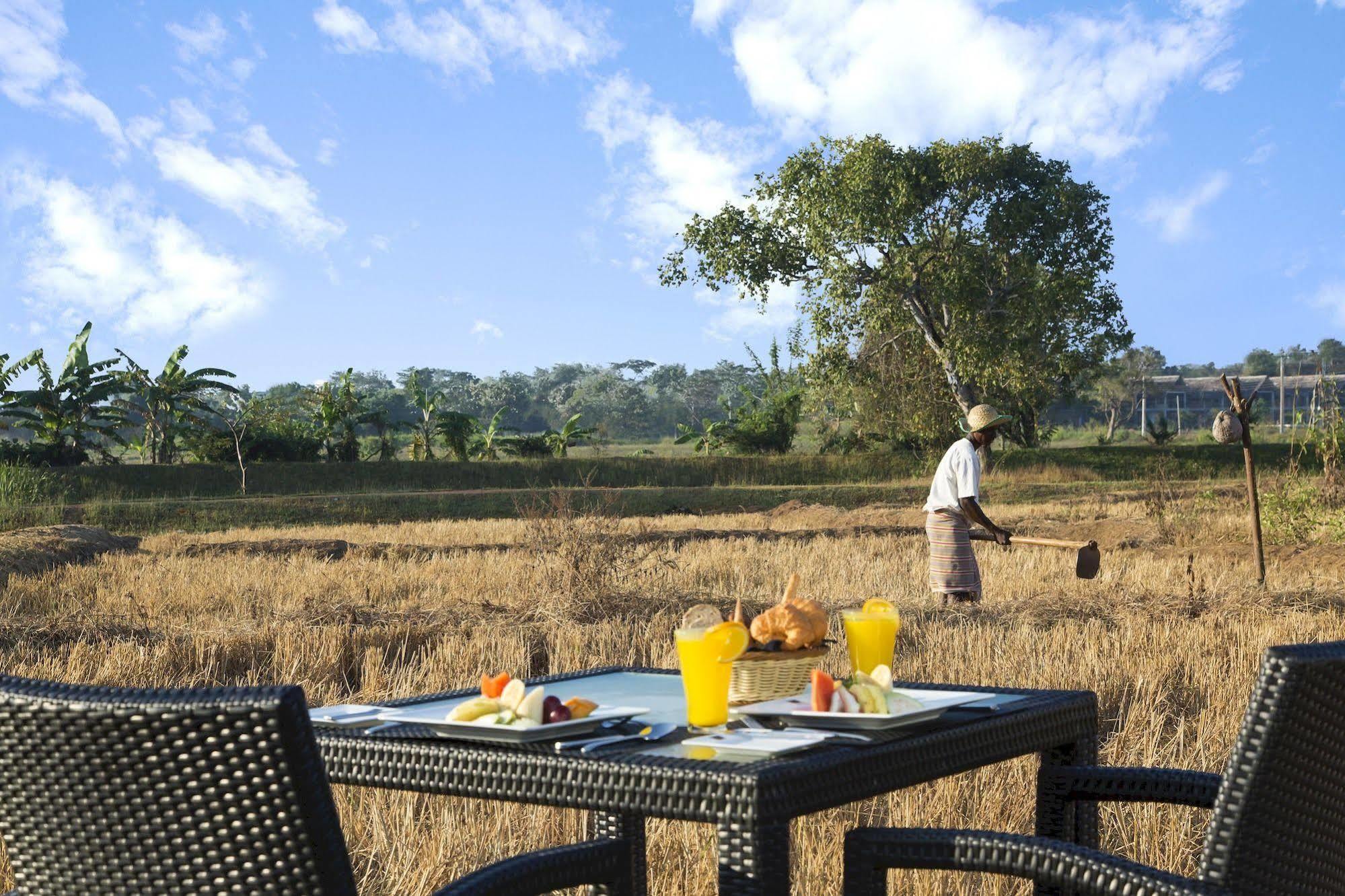 Aliya Resort&Spa Sigiriya Dış mekan fotoğraf